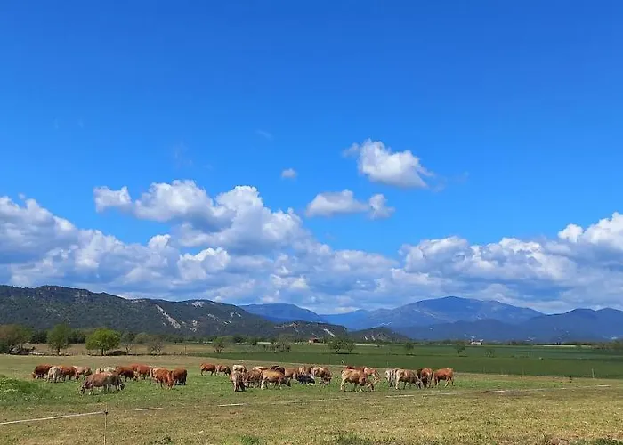 Appartement Casas Pirineo, Aínsa